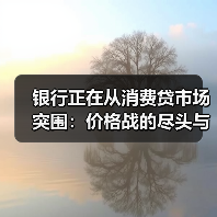 银行正在从消费贷市场突围:价格战的尽头与价值重构 银行正在从消费贷市场突围:价格战的尽头与价值重构