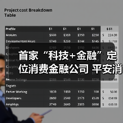 首家“科技+金融”定位消费金融公司 平安消费金融正式开业