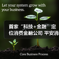 首家“科技+金融”定位消费金融公司 平安消费金融正式开业 首家“科技+金融”定位消费金融公司 平安消费金融正式开业