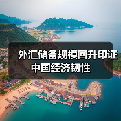 外汇储备规模回升印证中国经济韧性(图2) 外汇储备规模回升印证中国经济韧性(图2)