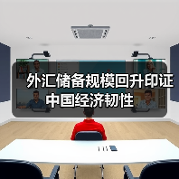外汇储备规模回升印证中国经济韧性(图1) 外汇储备规模回升印证中国经济韧性(图1)