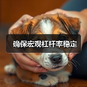 确保宏观杠杆率稳定(图4) 确保宏观杠杆率稳定(图4)
