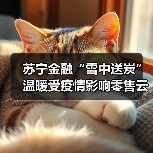 苏宁金融“雪中送炭” 温暖受疫情影响零售云商户