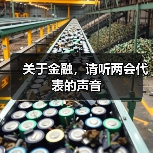 关于金融,请听两会代表的声音(图2) 关于金融,请听两会代表的声音(图2)