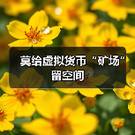 莫给虚拟货币“矿场”留空间(图4) 莫给虚拟货币“矿场”留空间(图4)