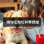 确保宏观杠杆率稳定(图3) 确保宏观杠杆率稳定(图3)