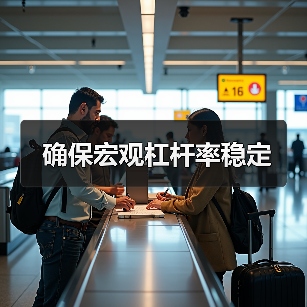 确保宏观杠杆率稳定(图4) 确保宏观杠杆率稳定(图4)