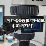 外汇储备规模回升印证中国经济韧性(图4) 外汇储备规模回升印证中国经济韧性(图4)