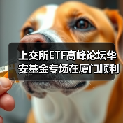 上交所ETF高峰论坛华安基金专场在厦门顺利举办(图4) 上交所ETF高峰论坛华安基金专场在厦门顺利举办(图4)