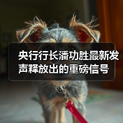 央行行长潘功胜最新发声释放出的重磅信号(图3) 央行行长潘功胜最新发声释放出的重磅信号(图3)