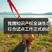 我国知识产权金融生态综合试点工作正式启动(图4) 我国知识产权金融生态综合试点工作正式启动(图4)
