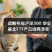 战略布局沪深300 华安基金ETF产品线再添重要拼图(图2) 战略布局沪深300 华安基金ETF产品线再添重要拼图(图2)