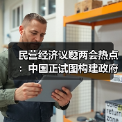 民营经济议题两会热点：中国正试图构建政府与市场的新型共生关系（图4）