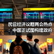 民营经济议题两会热点：中国正试图构建政府与市场的新型共生关系（图3）