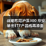 战略布局沪深300 华安基金ETF产品线再添重要拼图(图4) 战略布局沪深300 华安基金ETF产品线再添重要拼图(图4)