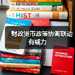 财政货币政策协调联动有威力(图2) 财政货币政策协调联动有威力(图2)