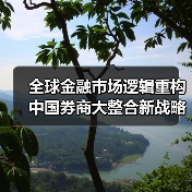 全球金融市场逻辑重构 中国券商大整合新战略凸显雄心(图3) 全球金融市场逻辑重构 中国券商大整合新战略凸显雄心(图3)