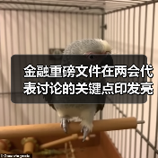 金融重磅文件在两会代表讨论的关键点印发亮相