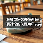 金融重磅文件在两会代表讨论的关键点印发亮相（图4）