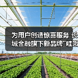 为用户创造惊喜服务 长城金融旗下新品牌