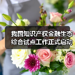 我国知识产权金融生态综合试点工作正式启动