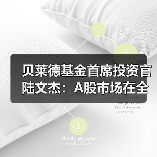 贝莱德基金首席投资官陆文杰:A股市场在全球具备长期竞争力(图3) 贝莱德基金首席投资官陆文杰:A股市场在全球具备长期竞争力(图3)