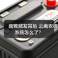 腐败频发背后 云南农信系统怎么了?(图3) 腐败频发背后 云南农信系统怎么了?(图3)