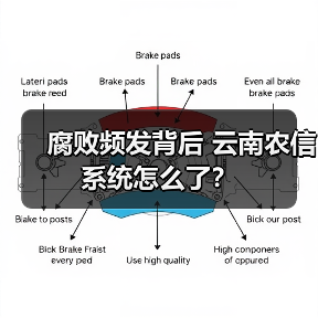 腐败频发背后 云南农信系统怎么了?(图4) 腐败频发背后 云南农信系统怎么了?(图4)