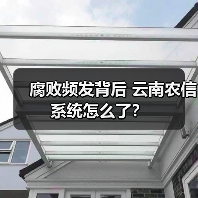 腐败频发背后 云南农信系统怎么了?(图2) 腐败频发背后 云南农信系统怎么了?(图2)