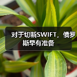 对于切断SWIFT，俄罗斯早有准备