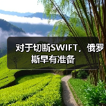 对于切断SWIFT，俄罗斯早有准备