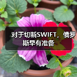 对于切断SWIFT,俄罗斯早有准备(图2) 对于切断SWIFT,俄罗斯早有准备(图2)