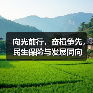 向光前行,奋楫争先,民生保险与发展同向(图2) 向光前行,奋楫争先,民生保险与发展同向(图2)