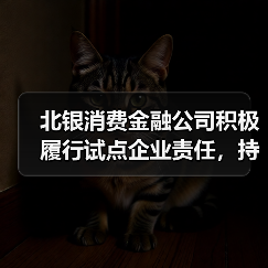 北银消费金融公司积极履行试点企业责任,持续探索金融服务新模式(图2) 北银消费金融公司积极履行试点企业责任,持续探索金融服务新模式(图2)
