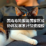 国寿寿险服务国家区域协调发展累计投资规模超2.2万亿（图2）