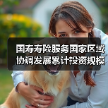 国寿寿险服务国家区域协调发展累计投资规模超2.2万亿（图3）
