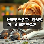 政策组合拳产生连锁效应:中国资产爆发(图1) 政策组合拳产生连锁效应:中国资产爆发(图1)