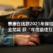 泰康在线获2021年保险金龙奖 获“年度最佳互联网保险公司”称号(图2) 泰康在线获2021年保险金龙奖 获“年度最佳互联网保险公司”称号(图2)