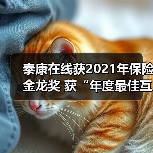 泰康在线获2021年保险金龙奖 获“年度最佳互联网保险公司”称号(图4) 泰康在线获2021年保险金龙奖 获“年度最佳互联网保险公司”称号(图4)