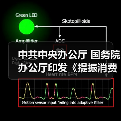 中共中央办公厅 国务院办公厅印发《提振消费专项行动方案》（图4）