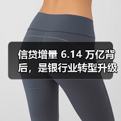 信贷增量 6.14 万亿背后,是银行业转型升级的深刻变革(图4) 信贷增量 6.14 万亿背后,是银行业转型升级的深刻变革(图4)