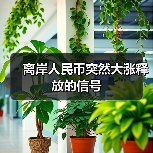 离岸人民币突然大涨释放的信号(图2) 离岸人民币突然大涨释放的信号(图2)