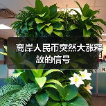 离岸人民币突然大涨释放的信号(图4) 离岸人民币突然大涨释放的信号(图4)
