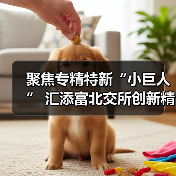 聚焦专精特新“小巨人” 汇添富北交所创新精选正式获批 将于19日发行(图4) 聚焦专精特新“小巨人” 汇添富北交所创新精选正式获批 将于19日发行(图4)
