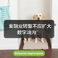 金融业转型不应扩大“数字鸿沟”(图1) 金融业转型不应扩大“数字鸿沟”(图1)