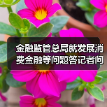 金融监管总局就发展消费金融等问题答记者问(图1) 金融监管总局就发展消费金融等问题答记者问(图1)