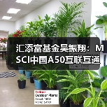 汇添富基金吴振翔：MSCI中国A50互联互通指数广受关注（图4）
