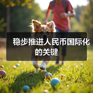 稳步推进人民币国际化的关键（图2）