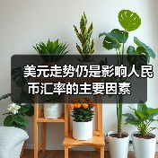 美元走势仍是影响人民币汇率的主要因素(图3) 美元走势仍是影响人民币汇率的主要因素(图3)
