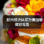 新兴经济体须为美加息做好准备（图3）